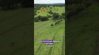 Fazenda à venda em Campina Verde com 37 alqueires mineiros  Triangulo Mineiro  Minas Gerais [upl. by Nomzed]