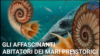 Le Ammoniti  Gli Affascinanti Abitatori dei Mari Preistorici [upl. by Aihsenal254]