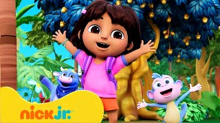 Dora  I migliori momenti di amicizia con Dora  Nick Jr Italia [upl. by Tamra664]