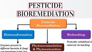 Pesticide Bioremediation Explained Environmental Biotechnology [upl. by Ahsinor296]