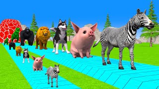 Paint amp Animals CowGorrilaElephantZebraPigLionHusky Fountain Crossing Transformation Cartoon [upl. by Louis]