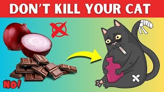 These Foods from your Kitchen Will Kill Your Cat NEVER feed them VYTAL [upl. by Laurinda]