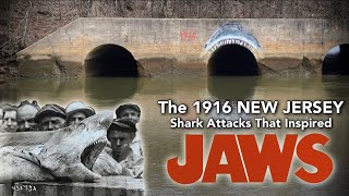 The 1916 New Jersey Shark AttacksThat Inspired JAWS 4K [upl. by Dasha599]