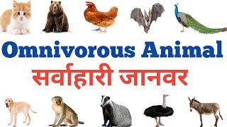 Omnivorous Animals name  सर्वाहारी जानवरों के नाम  Hindi and English READ AND LEARN [upl. by Christalle953]