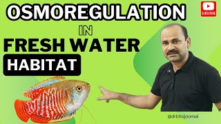 Osmoregulation in Freshwater Habitat  Osmoregulation in Freshwater Fishes  by Dr Bhojoo Mal [upl. by Enobe]