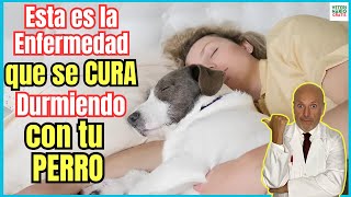 🙀 ESTA ES LA ENFERMEDAD QUE SE CURA DURMIENDO CON UN PERRO 🙀 [upl. by Mackenzie66]