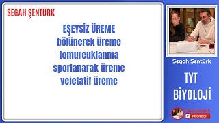 Eşeysiz Üreme  bölünerektomurcuklanaraksporlanarak vejetatif üreme  TYT  10SINIF  YKS 2025 [upl. by Havener541]