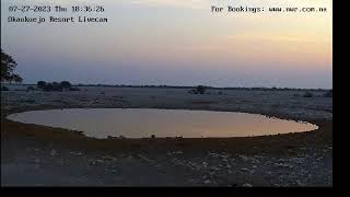 NWR Okaukuejo Waterhole LiveStream [upl. by Adnoluy]