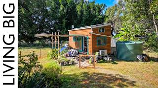 7 Years Living In Their OffGrid Tiny Home Paradise [upl. by Meter]