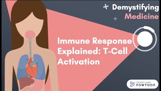 Immune Response Explained TCell Activation [upl. by Munshi]