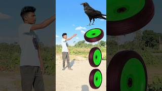 Spining Tyre PNG to peacock tota kabutar and crow vfx shorts video trending shorts [upl. by Margareta669]