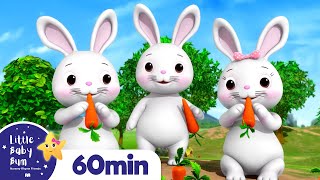 Bunnies Bunnies More Nursery Rhymes and Kids Songs  Little Baby Bum [upl. by Dan775]