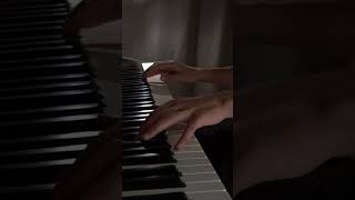 Paul de Senneville  Mariage dAmour Piano Cover [upl. by Mandler482]