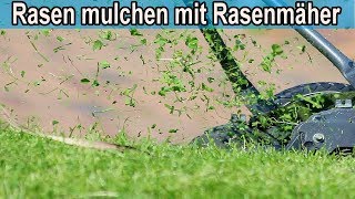 Rasen mulchen mit normalen Rasenmäher – Anleitung  Vorteile amp Nachteile  Tipps [upl. by Nij]