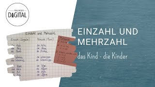 Einzahl und Mehrzahl Klasse 1 [upl. by Dugald]