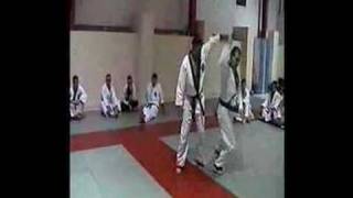 HapkidoRafael Balbastre Vol1 [upl. by Breger]