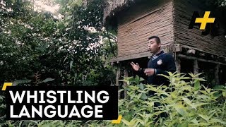 Indigenous Whistle Language In Mexico [upl. by Etan906]