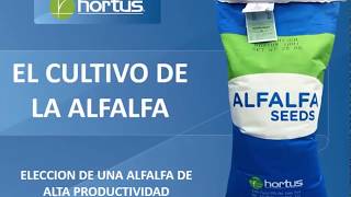 ¿Cómo elegir la alfalfa de más alta productividad  Hortus [upl. by Mellen]