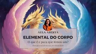 Aula Aberta ELEMENTAL DO CORPO O que é e para que temos um elementaldocorpo [upl. by Rodoeht313]