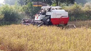 KUBOTA HARVESTA DC68G kubota kubotadc70plus kalahandi odisha videos video [upl. by Sanderson]