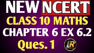 Maths class 10 chapter 6  exercise 62 ques 1  Triangles  new ncert book [upl. by Murrell765]