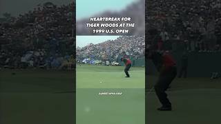 One of the few times Tiger Woods experienced heart break golf [upl. by Ocsecnarf293]