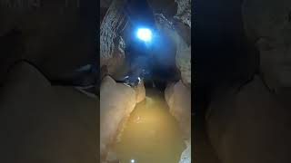 flooded worm tube pettyjohns cave [upl. by Nannek]