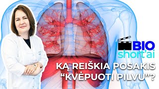 Ką reiškia posakis quotkvėpuoti pilvuquot ir kas yra diafragma  BIOSHORTai 12  Gyd Pulmonologė [upl. by Atter247]