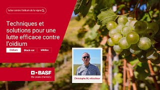 Techniques et solutions pour une lutte efficace contre loïdium de la vigne [upl. by Guglielmo1]