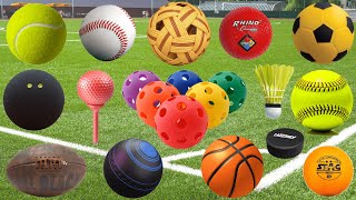 Types of Sports Ball  Sports Ball Vocabulary  Different Types Of Balls Types of Balls [upl. by Asira169]