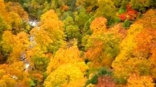 Japanese autumnal leaves quotHachimantaiquot 日本の紅葉（秋田・八幡平）2013 [upl. by Atinehc545]