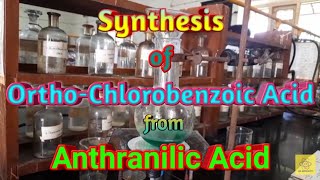 Synthesis of OrthoChlorobenzoic Acid from Anthranilic acid [upl. by Ecikram]