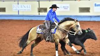 A Judges Perspective 2017 AQHA World Junior Working Cow Horse World Champion [upl. by Enrika]