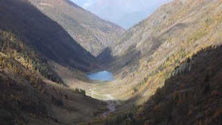 Valtellina scoperto un ecosistema preistorico fossile [upl. by Petuu]