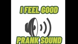 I FEEL GOOD PRANK SOUND🤣🤣SO GOOD [upl. by Heshum]