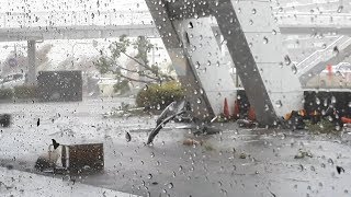 台風２１号 各地で猛威／ 和歌山・ 大阪・名古屋の様子 [upl. by Amberly532]