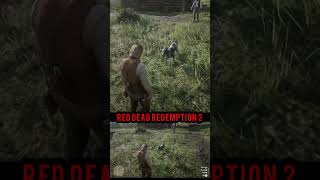 rdr2 beware of dog reddeadredemtion2 rdrii [upl. by Hgielar]