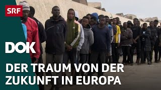 Die Migrationskrise – Schweizer Asylpolitik am Scheideweg  DOK  SRF [upl. by Llewej]