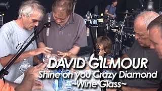 DAVID GILMOUR ：PINK FLOYD 『Shine On You Crazy Diamond Wine Glass 』 [upl. by Klenk]