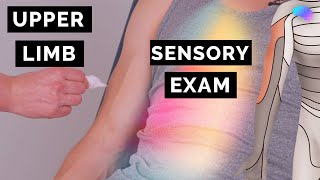 Sensory Examination of the Upper Limbs  OSCE Clip  UKMLA  CPSA [upl. by Yblehs]