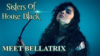 Meet Bellatrix Sisters of House Black [upl. by Sammons]