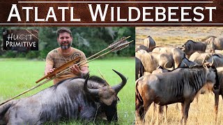 Wildebeest Primitive Hunting  Atlatl  Bow amp Arrow [upl. by Neils]