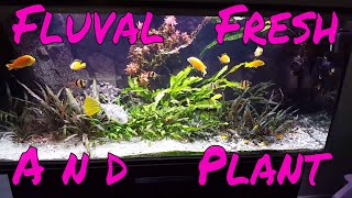 Fish Unboxing Again And Fluval Fresh And Plant 20 59W The Best Aquarium Led Light 2017 [upl. by Di]