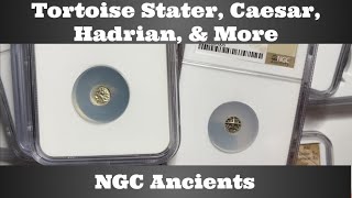 NGC Ancients  Tortoise Stater Caesar Hadrian amp More [upl. by Etnoek]