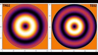 TE and TM mode patterns in a metallic circular waveguide [upl. by Neral]