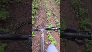 Pedaleando al paraje 7 curvas mtblife mtb giant music [upl. by Yramanna158]