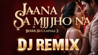 Bhool Bhulaiyaa 3 Jaana Samjho Na Dj Remix Song Zee Gold Music [upl. by Atsirc]