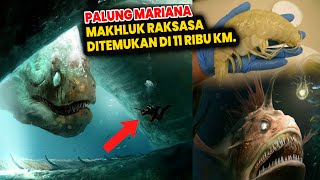 10x Lipat Penghuni Lautan Terdalam di Dunia Palung Mariana [upl. by Eimilb]