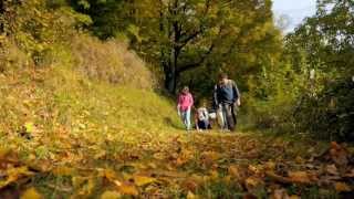 Kastanien an der Südlichen Weinstraße [upl. by Romona]