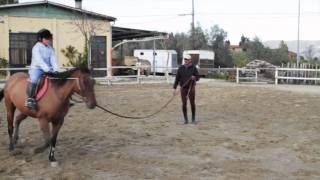 Scuola Equestre  Primo Galoppo [upl. by Kotz]